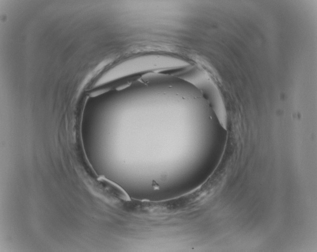 X0000074290395200609151922