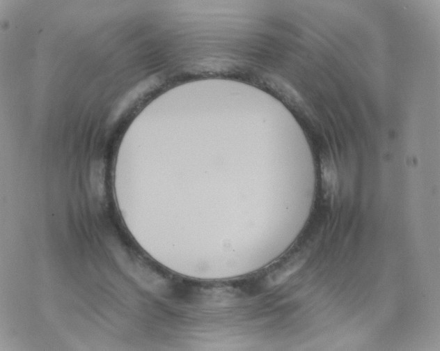 X0000074290396200609151922