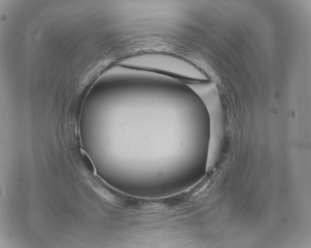 X0000074290397200609151922