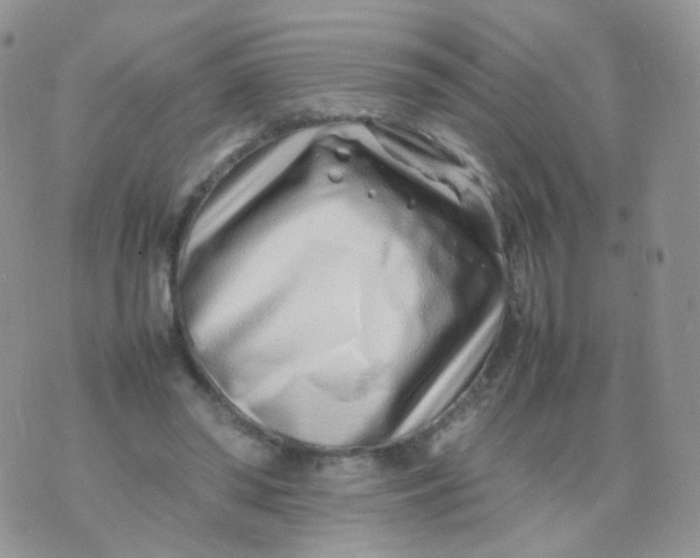 X0000074290398200609151922