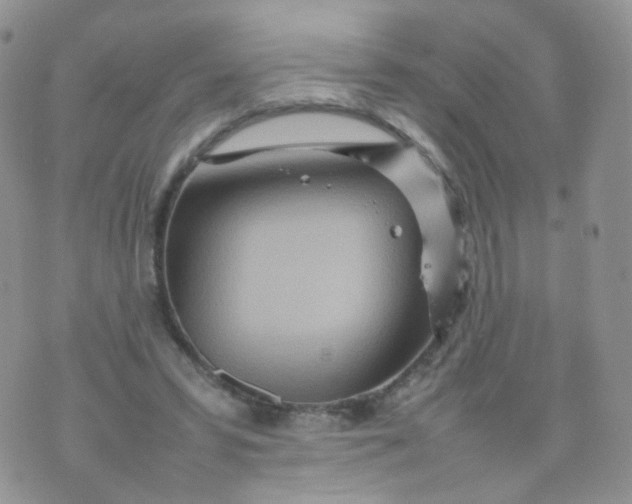 X0000074290399200609151922