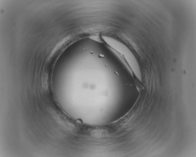 X0000074290400200609151922