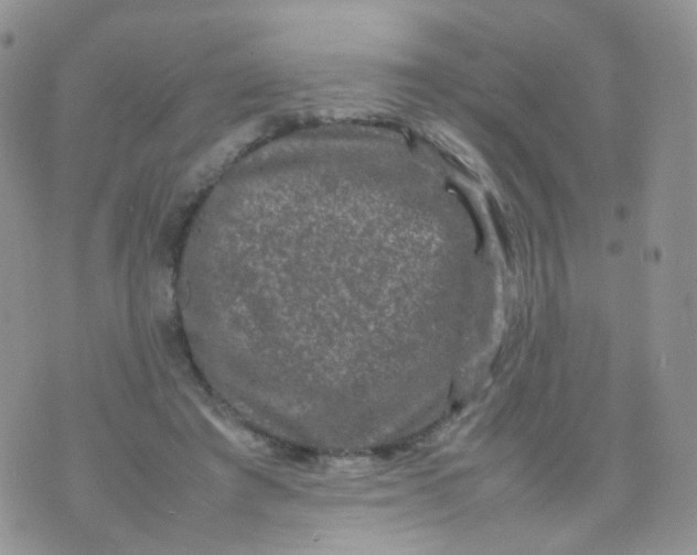 X0000074290401200609151922