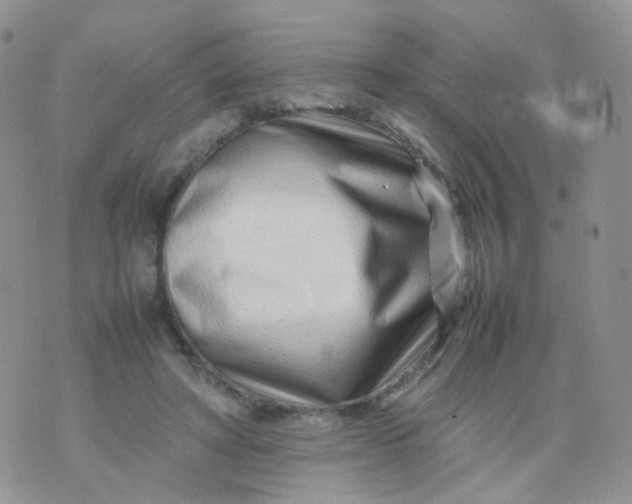 X0000074290402200609151922