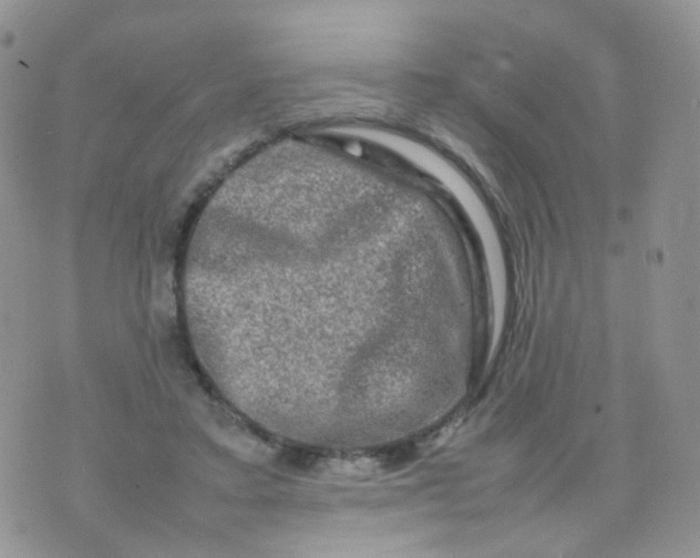 X0000074290403200609151922