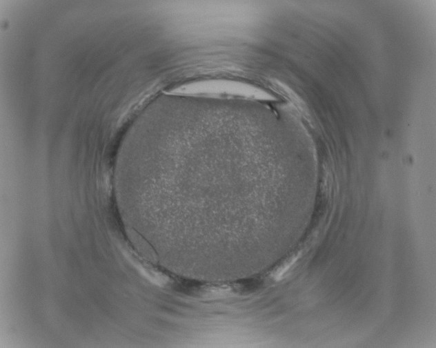 X0000074290405200609151922