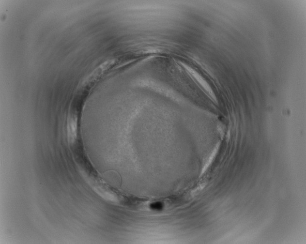 X0000074290406200609151922