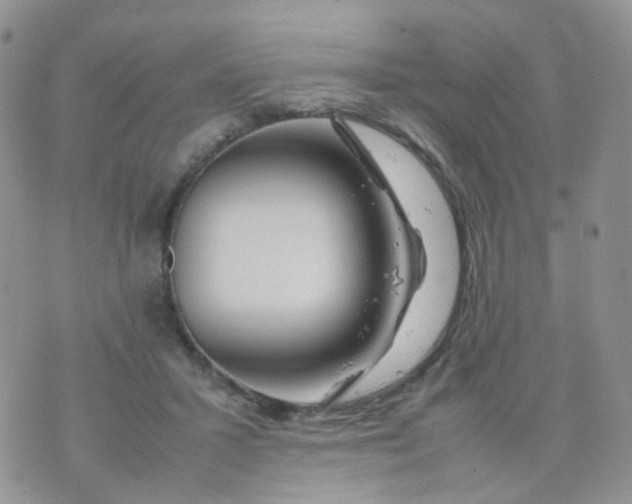 X0000074290407200609151922