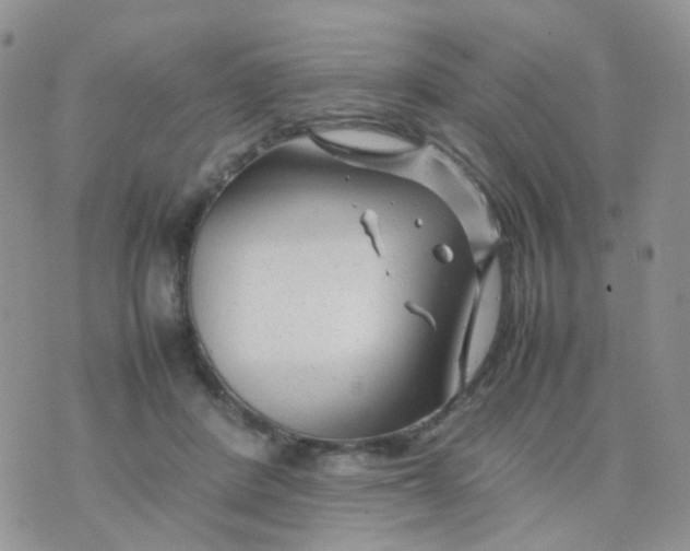 X0000074290408200609151922