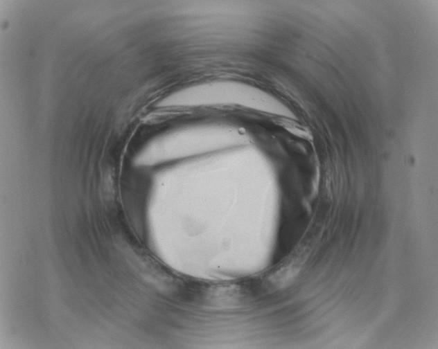 X0000074290410200609151922