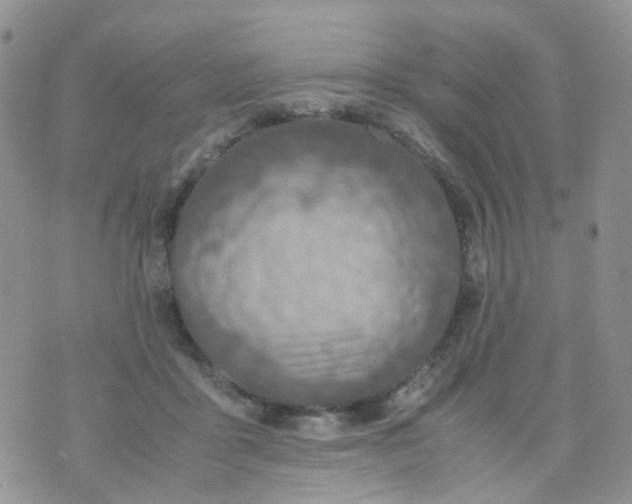 X0000074290411200609151922