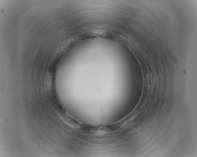 X0000074290412200609151922