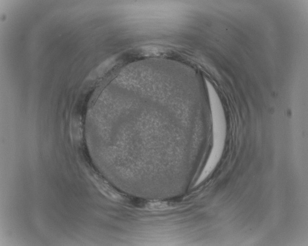 X0000074290413200609151922