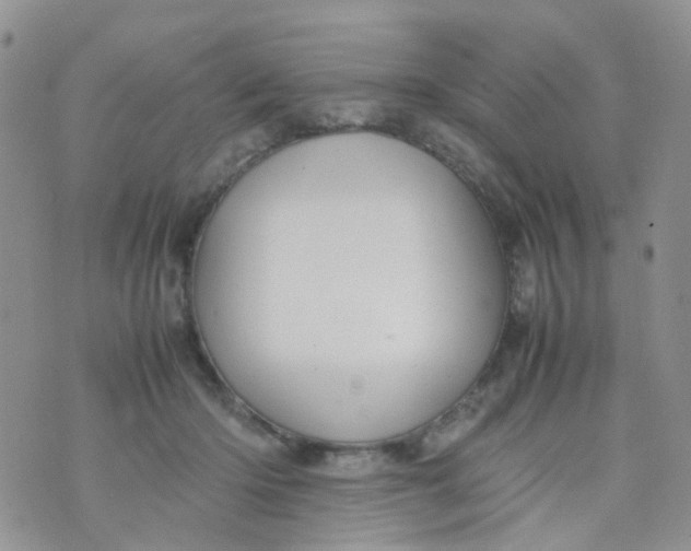 X0000074290414200609151922