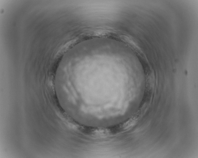 X0000074290415200609151922