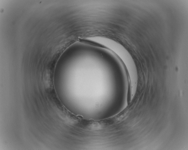 X0000074290416200609151922