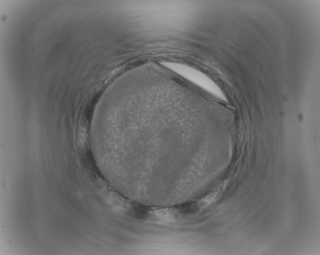 X0000074290417200609151922