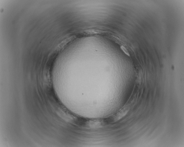 X0000074290418200609151922