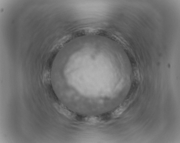 X0000074290419200609151922