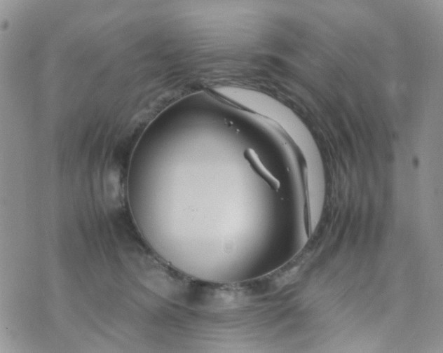 X0000074290420200609151922