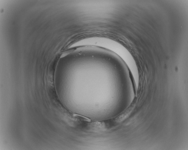 X0000074290421200609151922