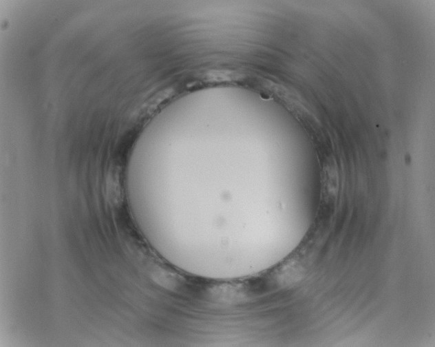 X0000074290422200609151922