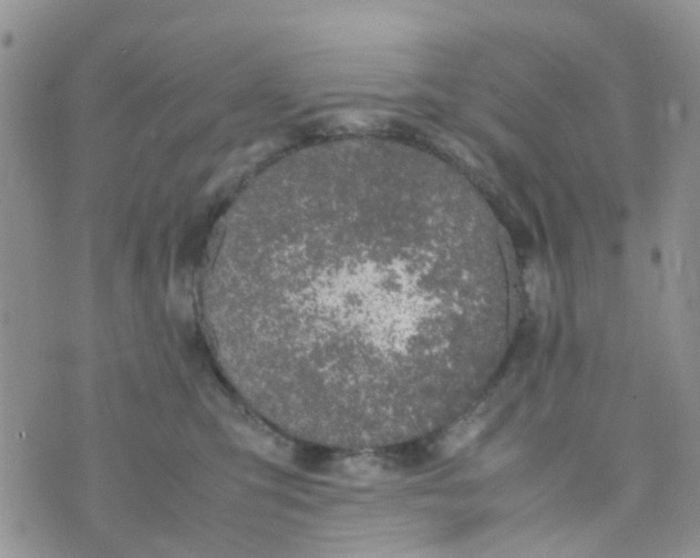 X0000074290423200609151922