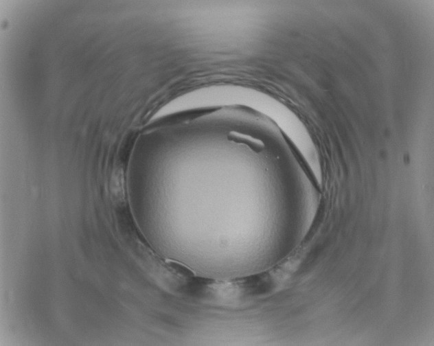 X0000074290425200609151922