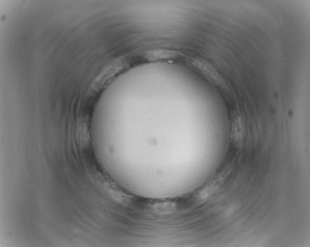 X0000074290426200609151922