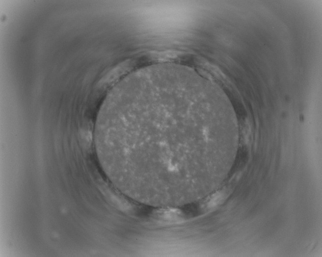 X0000074290427200609151921