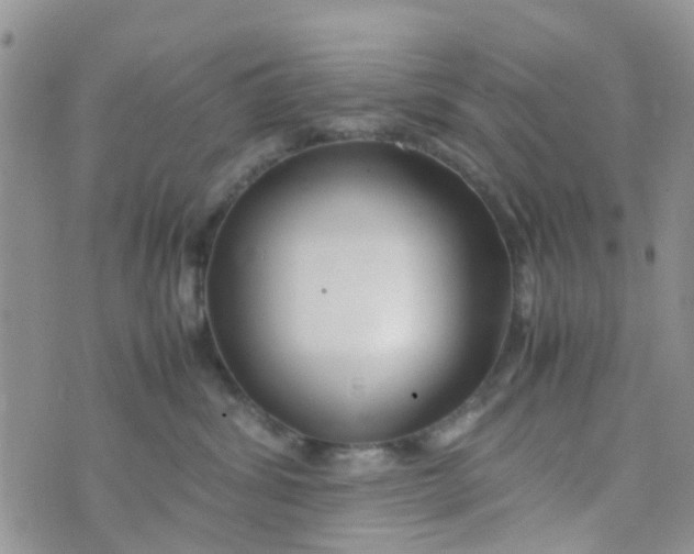 X0000074290428200609151921