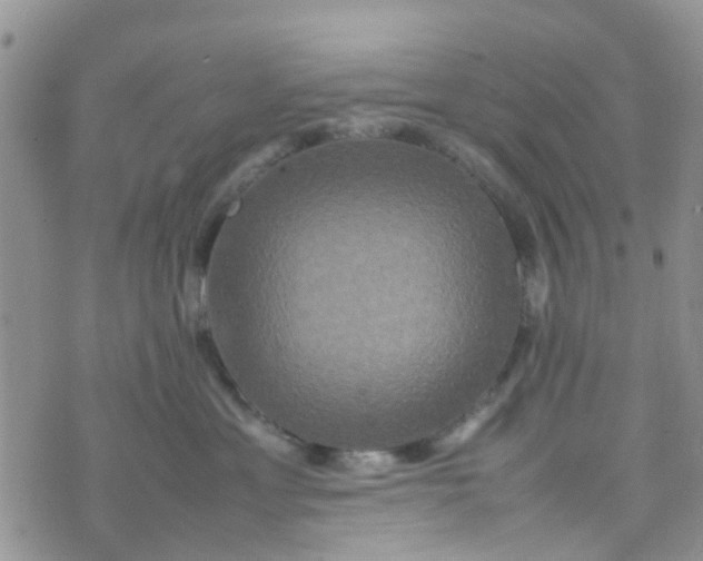 X0000074290429200609151921