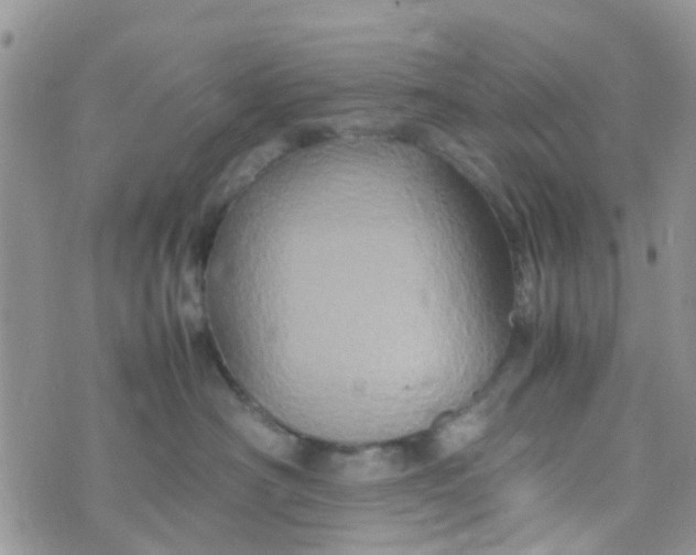 X0000074290430200609151921