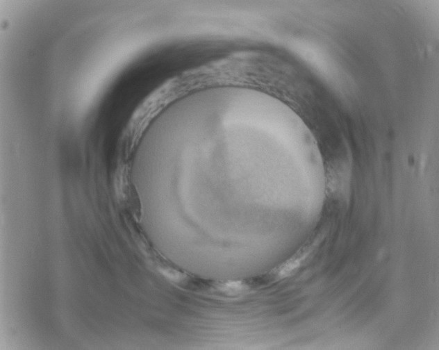 X0000074290431200609151921