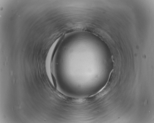 X0000074290432200609151921