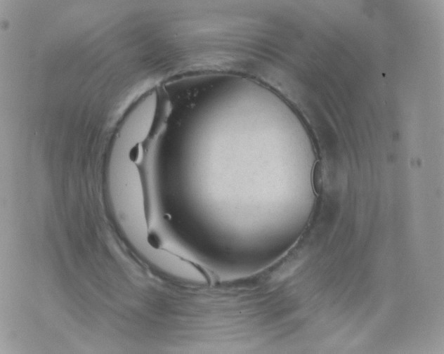 X0000074290434200609151921