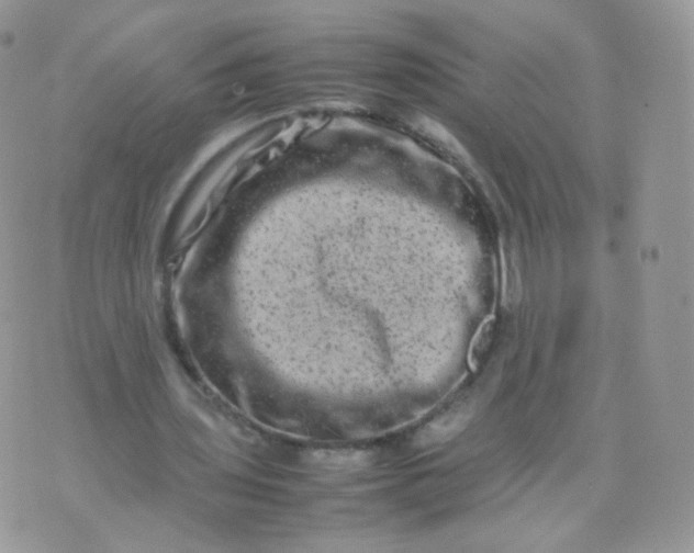 X0000074290435200609151921