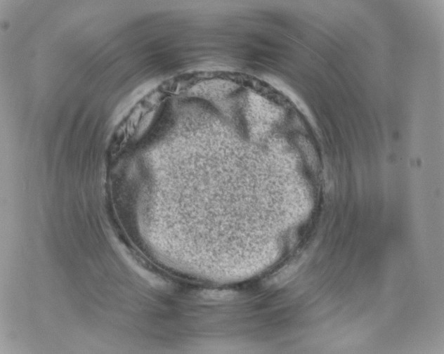 X0000074290437200609151921