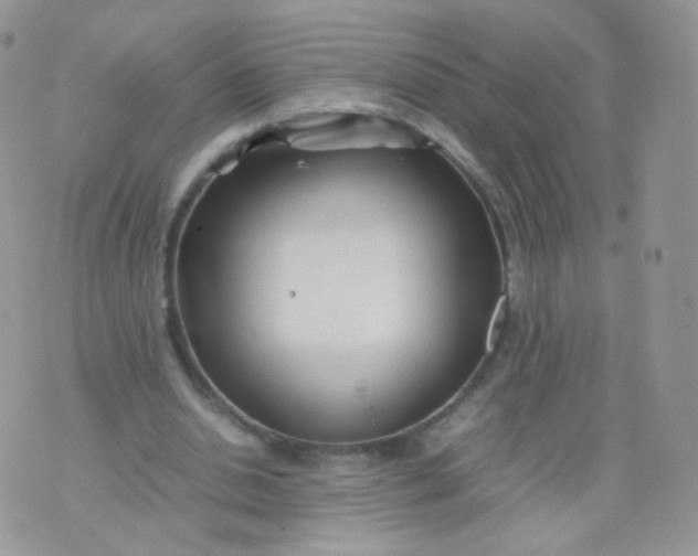 X0000074290438200609151921