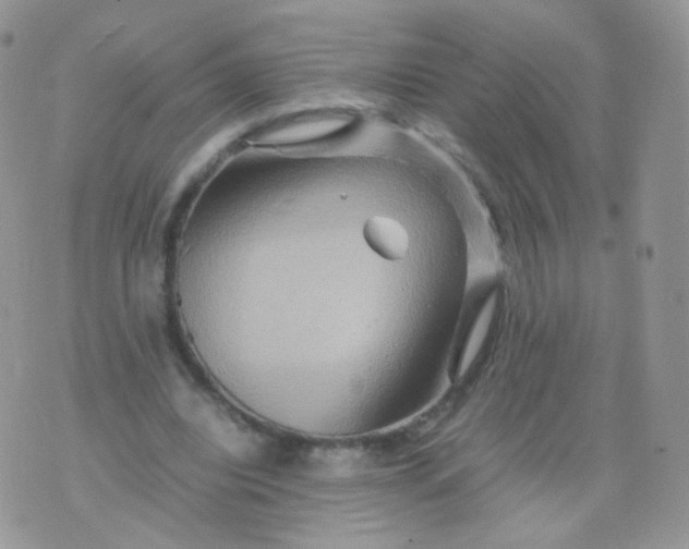 X0000074290440200609151921