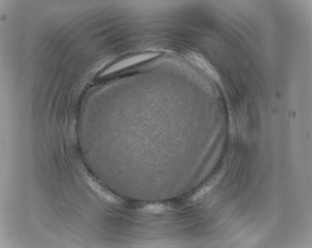 X0000074290441200609151921