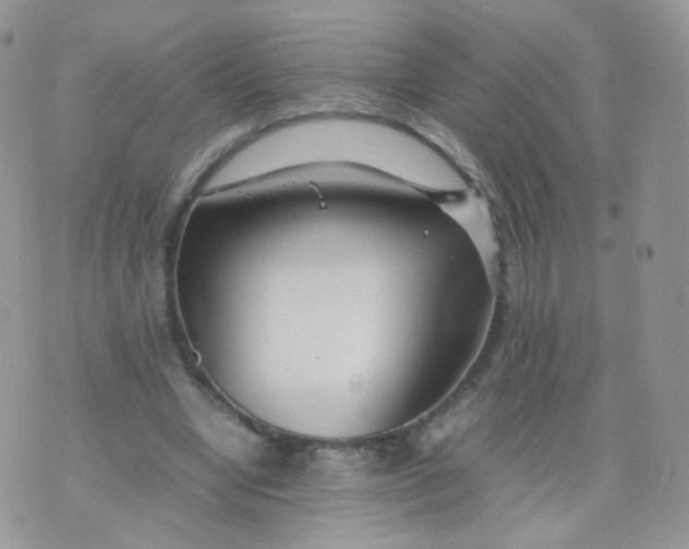 X0000074290442200609151921