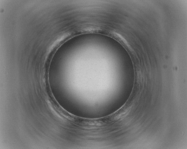 X0000074290443200609151921