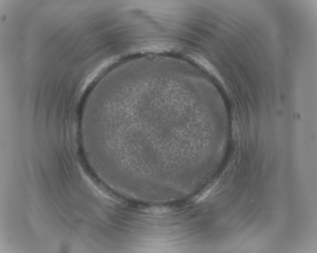 X0000074290444200609151921