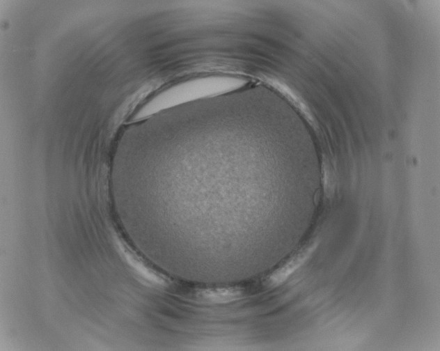 X0000074290445200609151921