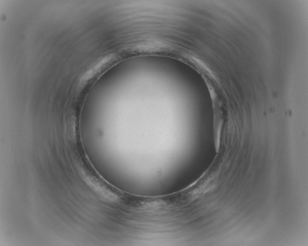 X0000074290446200609151921