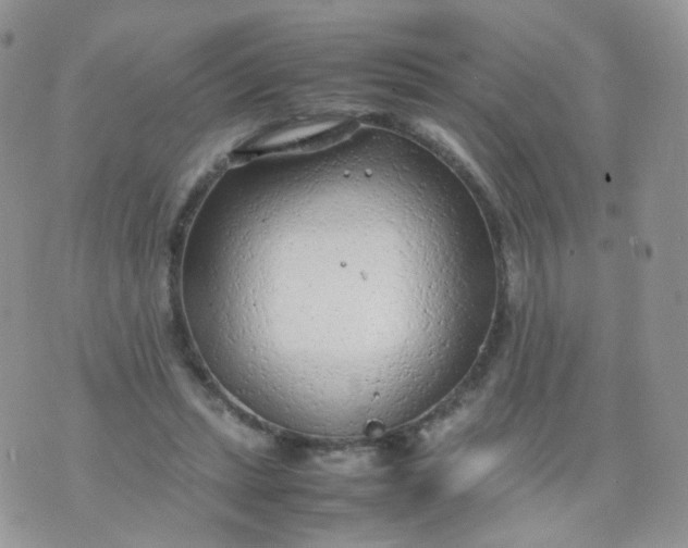 X0000074290447200609151921