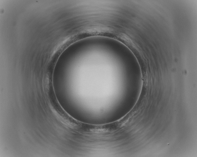 X0000074290448200609151921