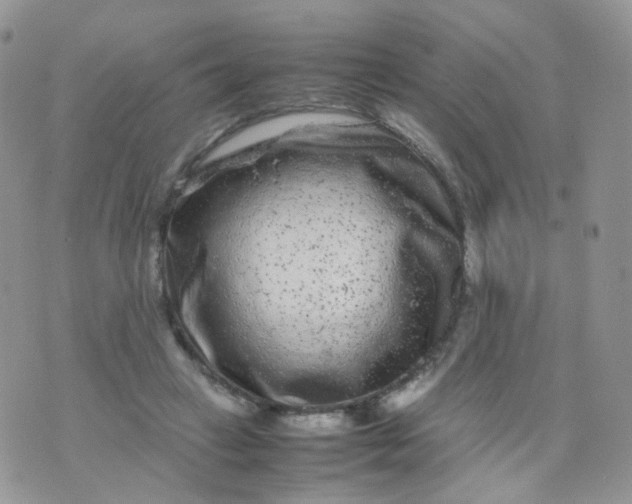 X0000074290449200609151921