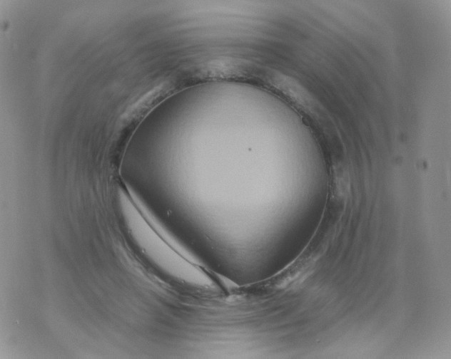 X0000074290450200609151921